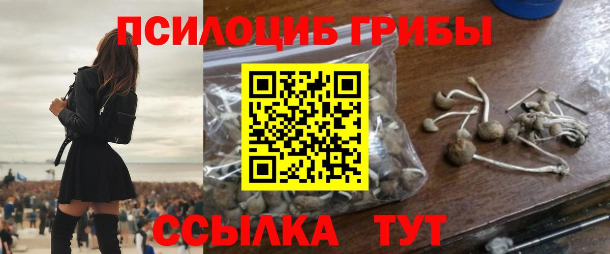 Избербаш  Галлюциногенные грибы мухоморы  Вход с VPN 